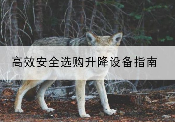 金平升降货梯厂家推荐-*安全选购升降设备指南