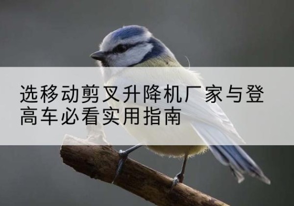金平电动升降机厂家-选移动剪叉升降机厂家与登高车必看实用指南